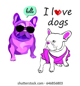 French bulldog background. Vector illustration. Dog, illustration, french