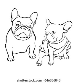 French bulldog background. Vector illustration. Dog, illustration, french