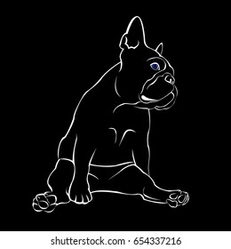 French bulldog background. Vector illustration. Dog, illustration, french