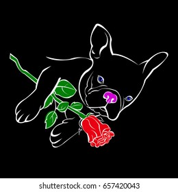 French bulldog background. Vector illustration. Dog, illustration, french