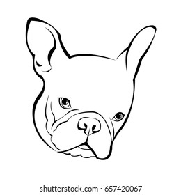 French bulldog background. Vector illustration. Dog, illustration, french