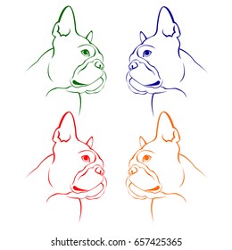 French bulldog background. Vector illustration. Dog, illustration, french