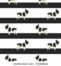 French bulldog and big stripes Seamless pattern