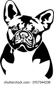 French Bulldog black and white vector portrait illustration