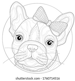 
French bulldog and bow his head Coloring book antistress for children   adults  Illustration isolated white background Black   white drawing Zen  tangle style 