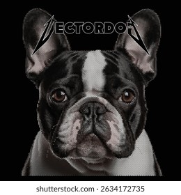 The French Bulldog is a French breed of companion dog or toy dog.