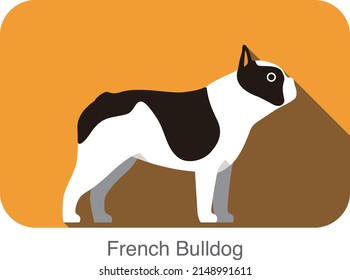 French Bulldog breed flat icon design, vector illustration