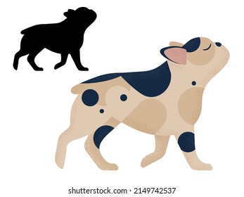 French Bulldog breed walking. Popular small dog pet from in colorful cartoon style and outline silhouette.