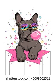 French bulldog with bubble gum. Dog on a background of stars. Image for printing on any surface