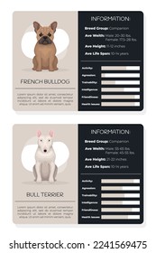 French bulldog, bull terrier information map with description of features of breed vector