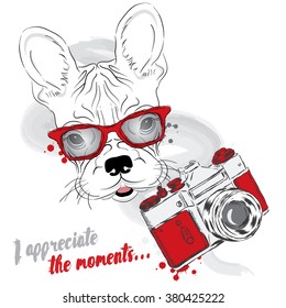 French bulldog with a camera. Dog vector. Hipster. Photographer. Vector illustration for greeting card, poster, or print on clothes.