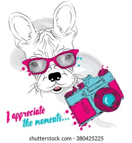 French bulldog with a camera. Dog vector. Hipster. 