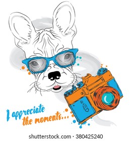 French bulldog with a camera. Dog vector. Hipster. Photographer. Vector illustration for greeting card, poster, or print on clothes.