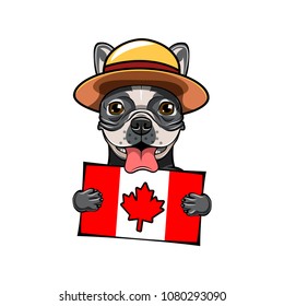 French bulldog. Canadian flag. Royal Canadian Mounted Police. Happy Canada day greeting card design. Vector illustration