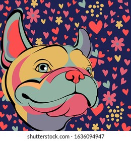 French bulldog.
Cartoon French Bulldog on. Vector illustration.
close up portrait of the domestic dog French Bulldog breed.