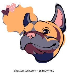 French bulldog.
Cartoon French Bulldog on. Vector illustration.
close up portrait of the domestic dog French Bulldog breed.