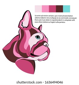 French bulldog.
Cartoon French Bulldog on. Vector illustration.
close up portrait of the domestic dog French Bulldog breed.