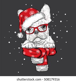 French bulldog in a Christmas hat and sunglasses. Vector illustration for a card or poster. Print on clothes. Cute puppy. Pedigree dog. Winter holidays. New Year's and Christmas.