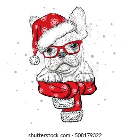 French bulldog in a Christmas hat and sunglasses. Vector illustration for a card or poster. Print on clothes. Cute puppy. Pedigree dog. Winter holidays. New Year's and Christmas.