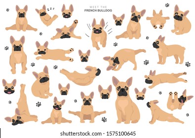 French bulldog clipart. Dog healthy silhouette and yoga poses set.  Vector illustration