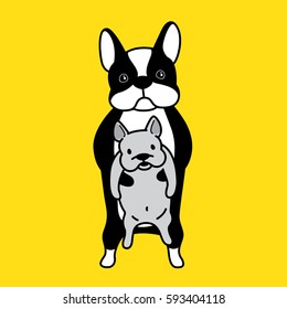 french bulldog club yellow illustration vector