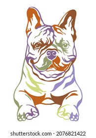French bulldog color contour portrait. Dog head in front view vector illustration isolated on white. For decoration, design, print, posters, postcards, stickers, t-shirt, cricut, tattoo and embroidery