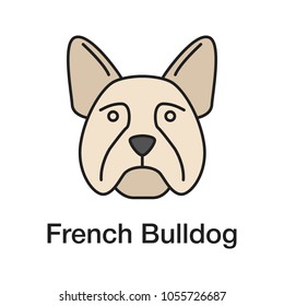 French Bulldog color icon. Frenchie. Utility dog breed. Isolated vector illustration