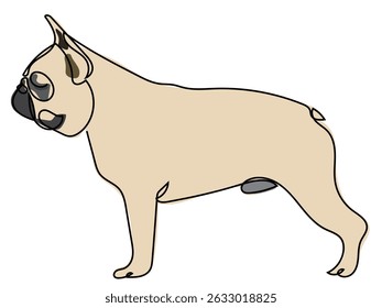 French bulldog in continuous line drawing style.