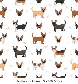 French Bulldog Corgi seamless pattern. French Bulldog - Welsh Corgi mix. All possible coat colors, breed information, adults and puppies.  Vector illustration