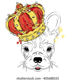 French Bulldog in the crown. Vector illustration. King.