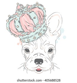 French Bulldog in the crown. Vector illustration. King. 