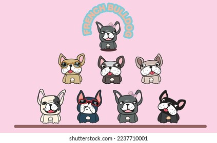 French bulldog cute dog club