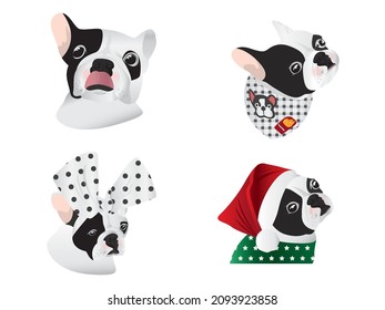 Französischer Bulldog, süßes Haustier , Mit Modekleid verschiedene Emotionen zeigen