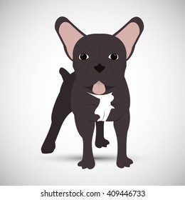  french bulldog design, pet and animal concept 