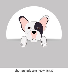  french bulldog design, pet and animal concept 
