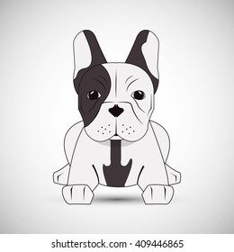  french bulldog design, pet and animal concept 