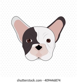  french bulldog design, pet and animal concept 