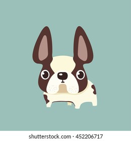 french bulldog design, pet and animal concept