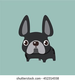 french bulldog design, pet and animal concept
