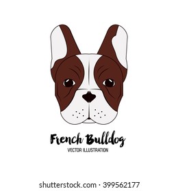 French bulldog design , vector illustration