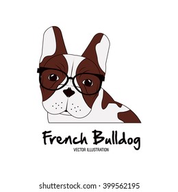 French bulldog design , vector illustration