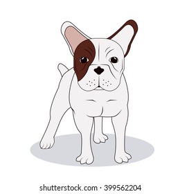 French bulldog design , vector illustration