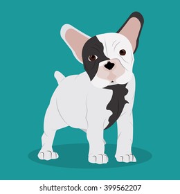 French bulldog design , vector illustration