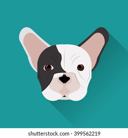 French bulldog design , vector illustration