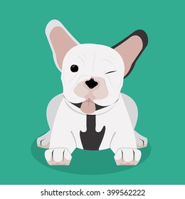 French bulldog design , vector illustration