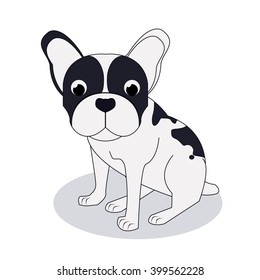 French bulldog design , vector illustration