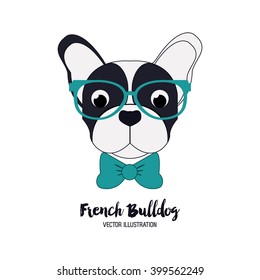 French bulldog design , vector illustration