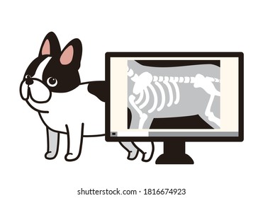 The french bulldog and The digital roentgen.