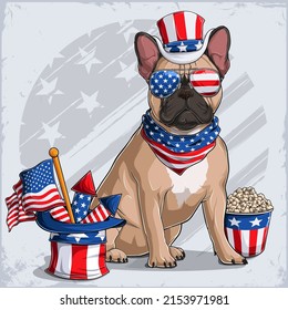 French Bulldog dog in 4th of July disguise wearing Uncle Sam hat, with USA flag and fireworks 