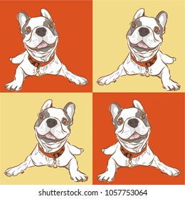 french bulldog, dog Can be used for wallpaper, pattern fills, textile, web page background, surface textures, Image for advertising booklets, banners.